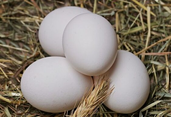 يتضمن نظام البيض الاستهلاك اليومي لبيض الدجاج. 